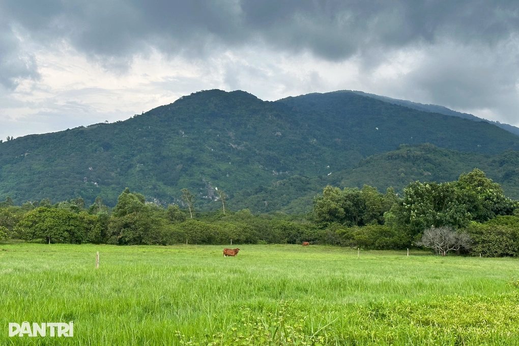 Núi Chứa Chan, reference photo